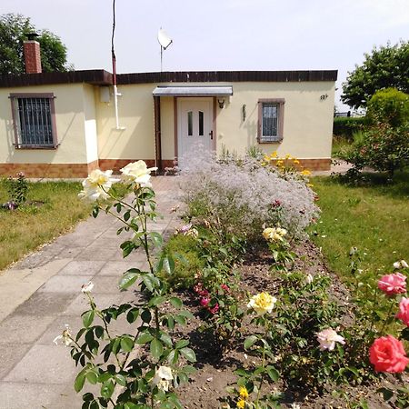 Ferienhaus Kaiserfelder Olbersdorf ภายนอก รูปภาพ